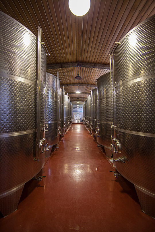 Bodegas lías